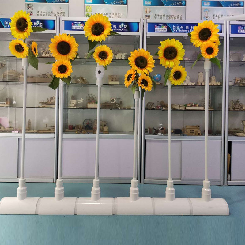 Sunflowers face detect device
