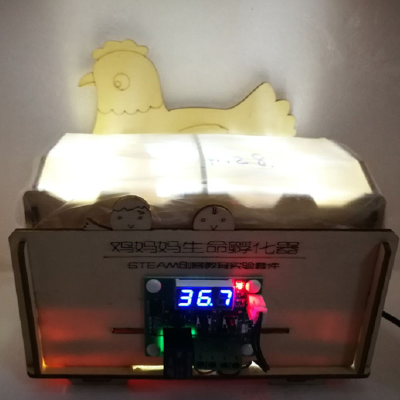 DIY创意科教模型鸡妈妈孵化器